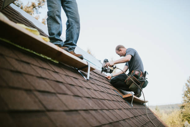 Quick and Trustworthy Emergency Roof Repair Services in Elmwood Park, IL